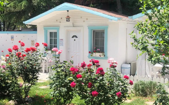 Poyraz Resort