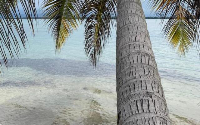 Sand Dollar Beach Bed & Breakfast