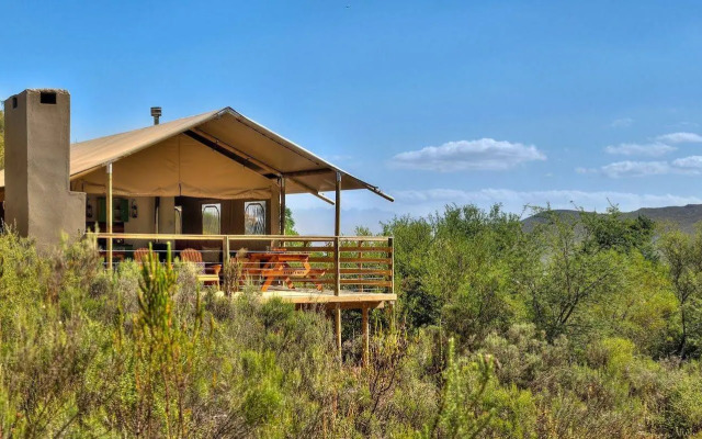 AfriCamps at Pat Busch Mountain Reserve