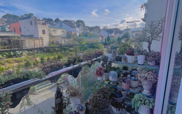 Selena Dalat Homestay