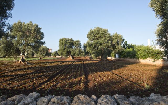 Masseria Don Luigi - Luxury Farmhouse