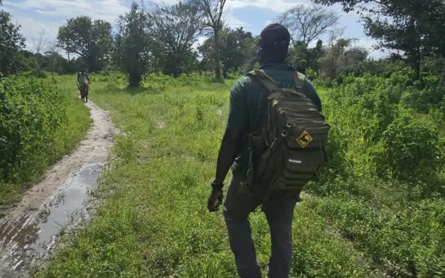 Real Owl Guest House