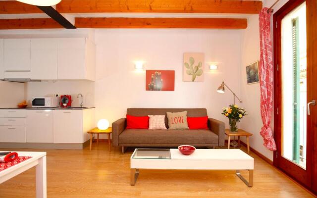 Sant Miquel Homes Penthouse
