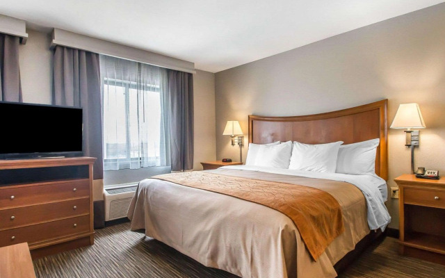 Comfort Inn South - Springfield