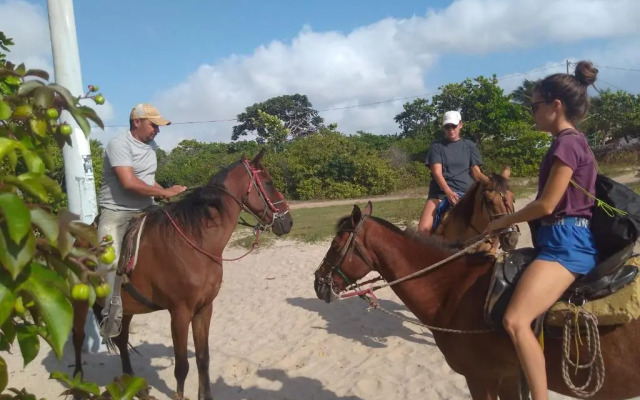 HOSPEDARIA PINGO de ouro