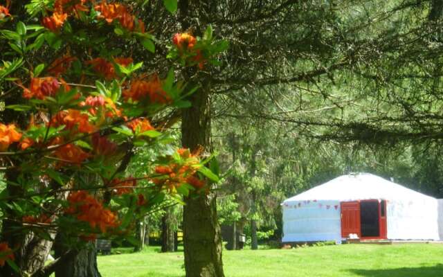 Newmoor Park Guest House