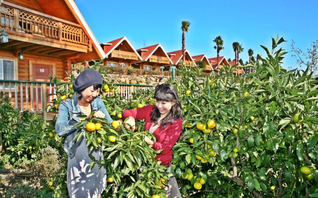 Jeju Jungmun Log Pension & Resort