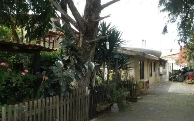 The House Near Downtown