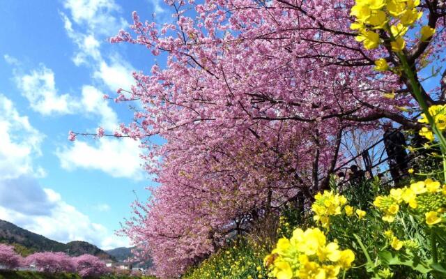 Hotel Laforet Shuzenji