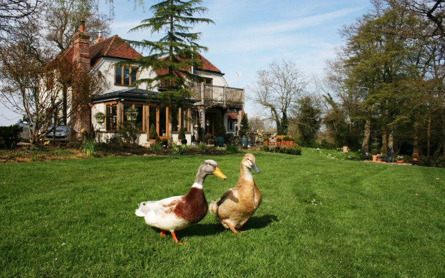 Shoyswell Cottage B&B
