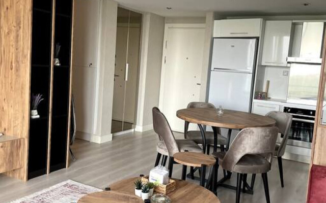 Modern 1 1 Apartment w Terrace Near Mail of IST