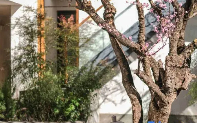 Mishan Xiyun Lake View Homestay Resort