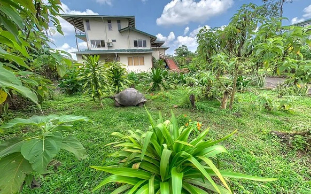 Semilla Verde Boutique Hotel