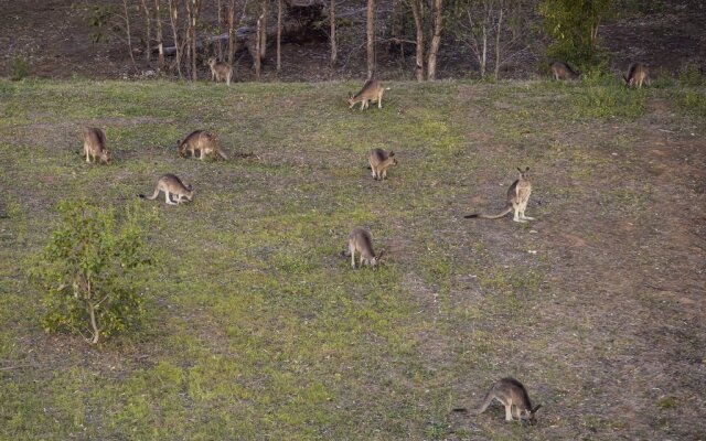 Holiday Inn Sydney St Marys by IHG