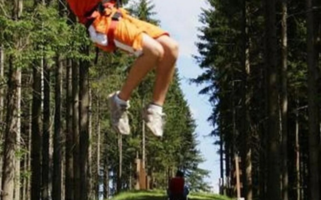 M M Apartment 2 in Harrachov