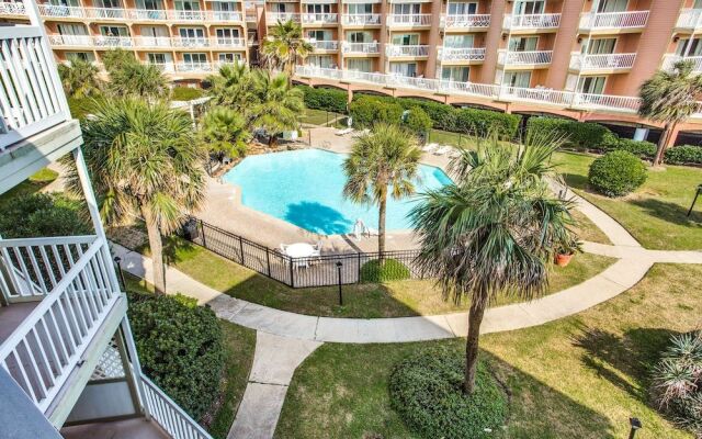 Victorian 8303-Seahorse at the Beach