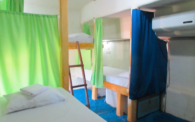 The Rabbit Tree - Hostel