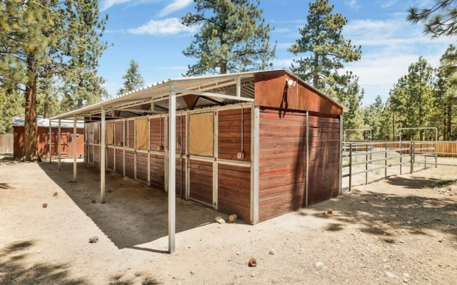 ONE Hundred Pines Ranch #2005