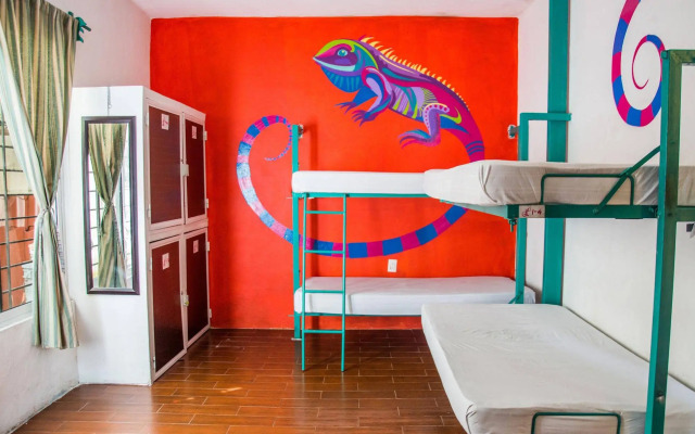 Enjoy Playa Hostel