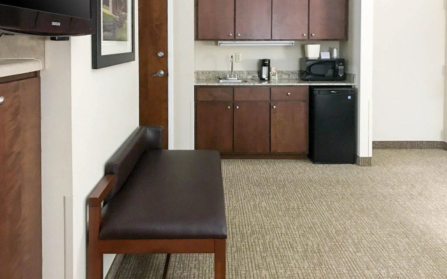 Comfort Suites Johnson City near University