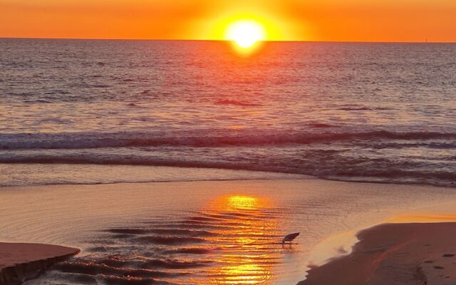 Scarborough Beach Front Resort - Shell Seven