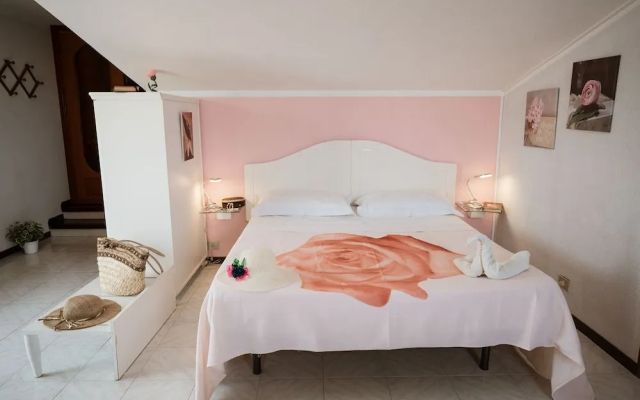 B&B Panorama