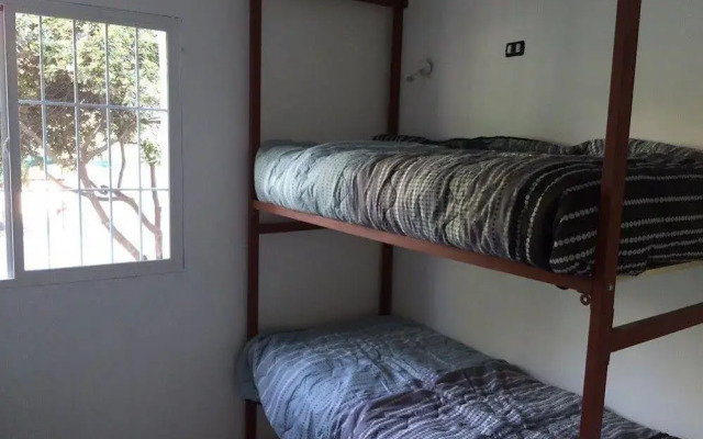 Hostel Dream and Trip