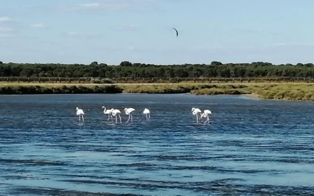 Studio Plage Anthemis