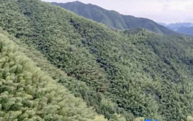 Xiuning wood pear hong home stay in the cloud