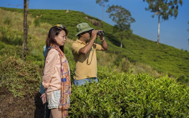 Strathdon by Zinc Journeys