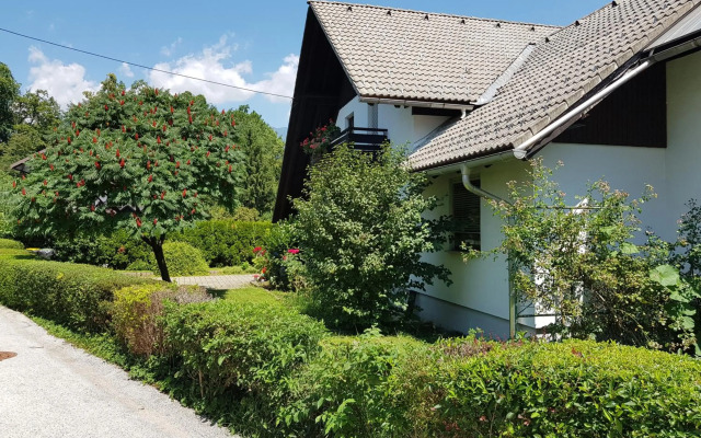 Apartma Take It Easy