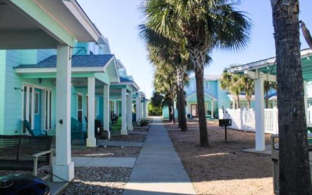 803 The Commons - Dancing Dolphin