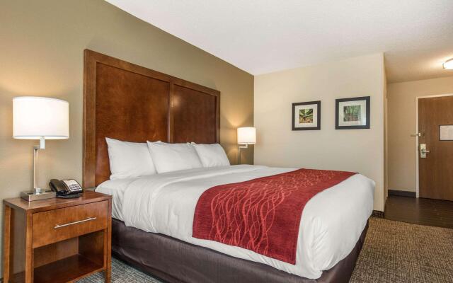 Comfort Inn La Porte