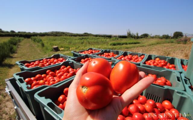 Agriturimo Essentia Dimora Rurale