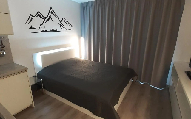 Mountain View Studio Apartment