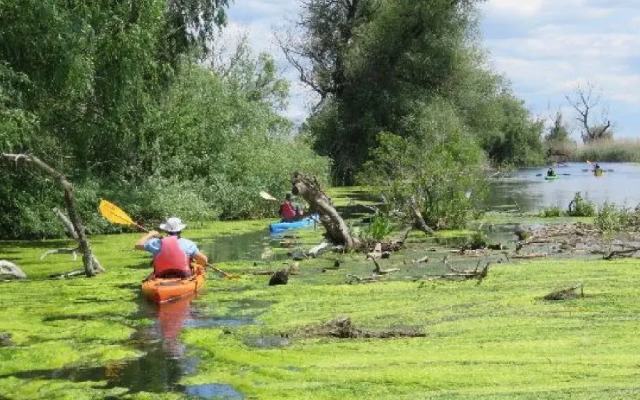 Experiente in Delta Dunarii