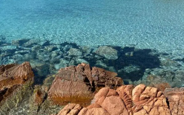 Palombaggia location i pini