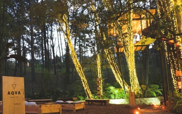 Macadamia Incredible Lodge in the Forest With Private Jacuzzi