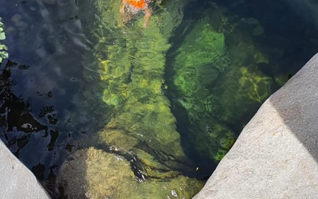 Natural&Mente Valle del Jerte