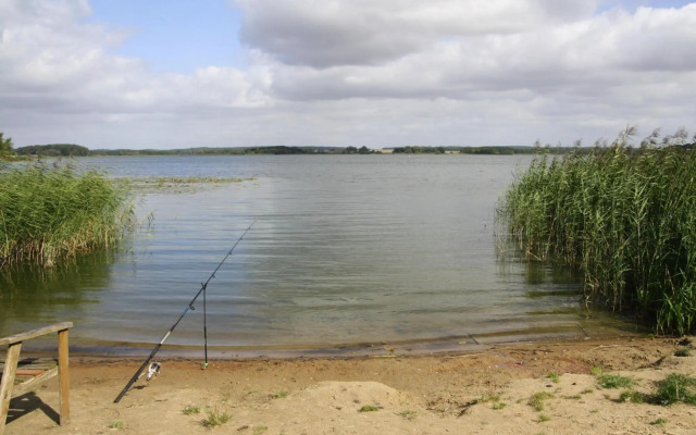 Apartment, Sternberg