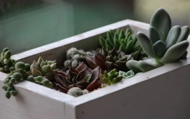 Xijiang Scenic Resort hotel