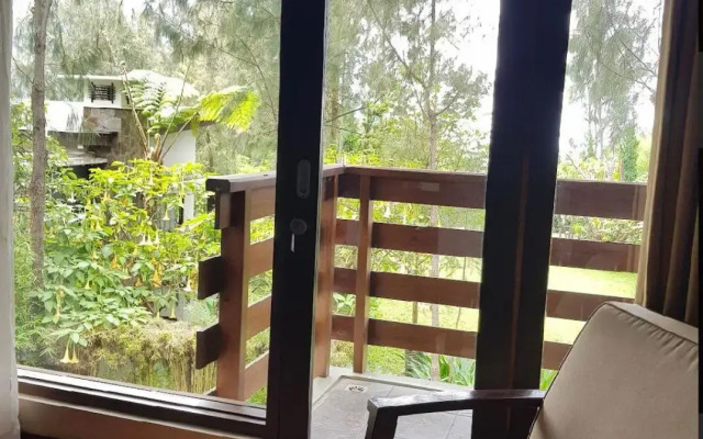 Java Banana Lodge Bromo