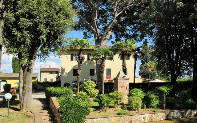 Giuggiolo 6