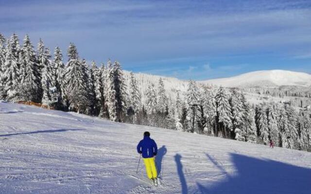 Apartman 105 Pec pod Sněžkou