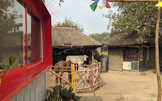 Tuk Tuk Gilhari Noida