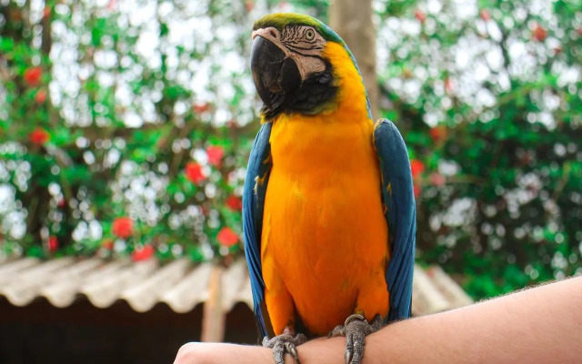 São Pedro Thermas Resort