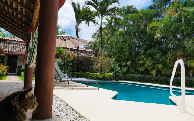Villa Botero By Casa Mojito B&B
