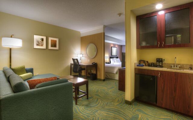 Springhill Suites by Marriott Tampa Brandon