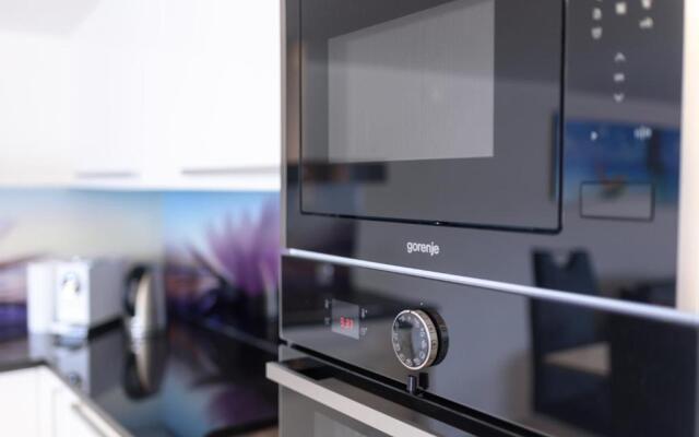 Studio Apartment Maslina