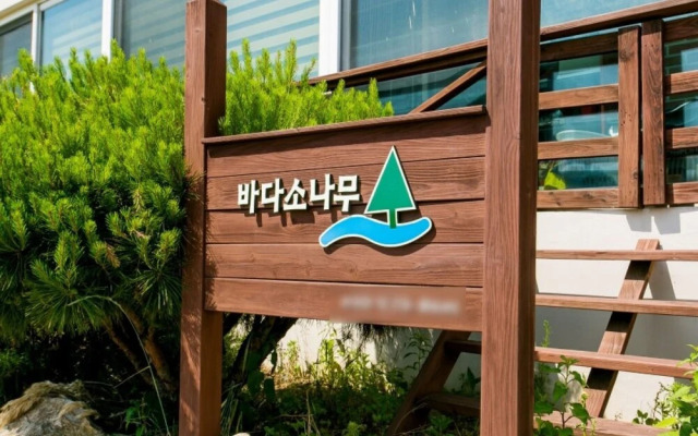 Samcheok Bada Sonamu Pension